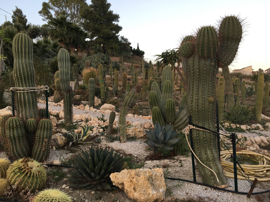 Garden Cactus - Relais, Suite de Charme and Botanical Park主图