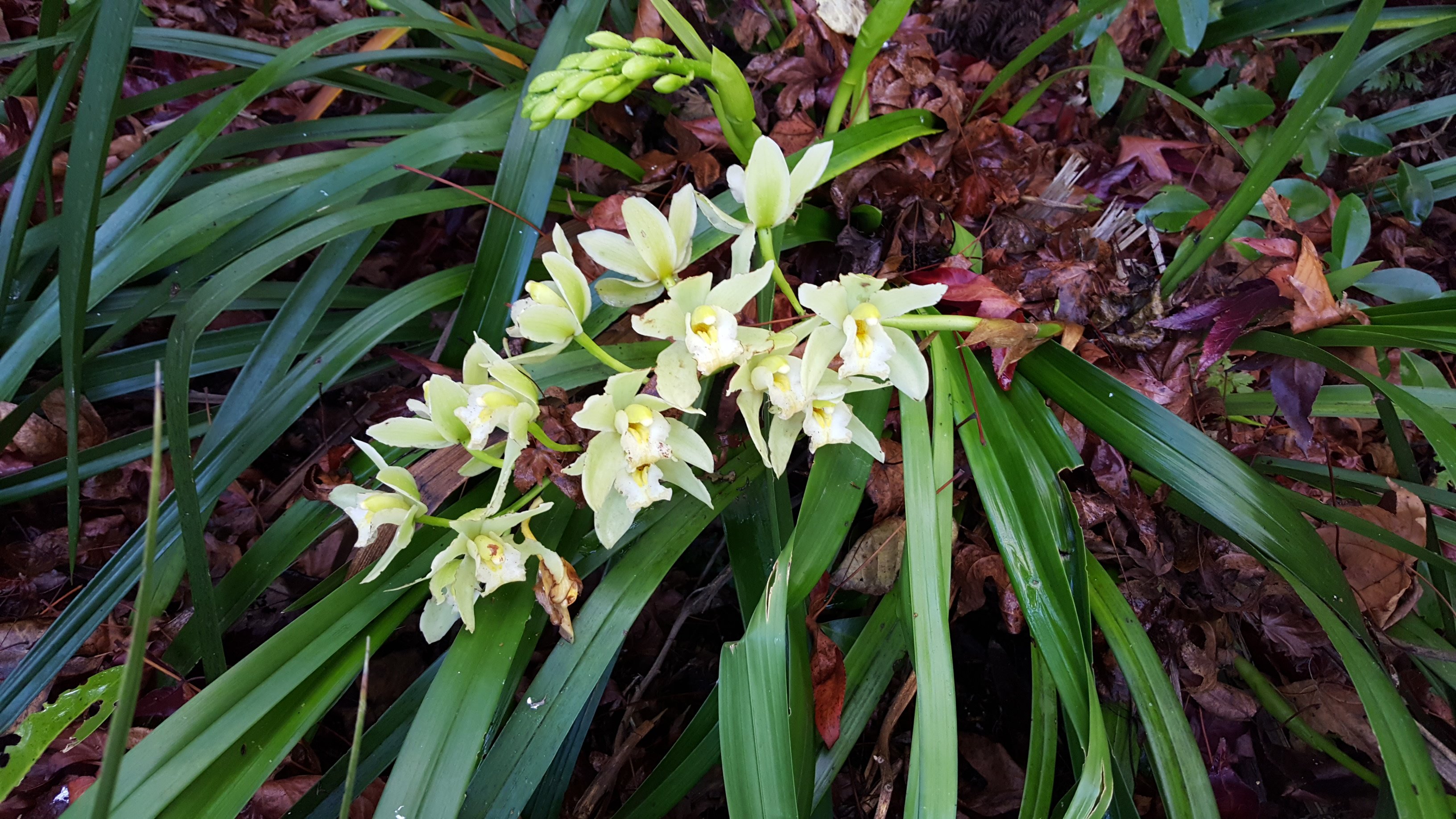Pāteke Lodge-浴室