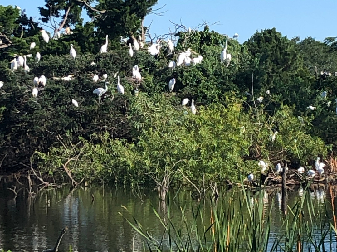 Pinckney Island National Wildlife Refuge-希尔顿头岛必去景点