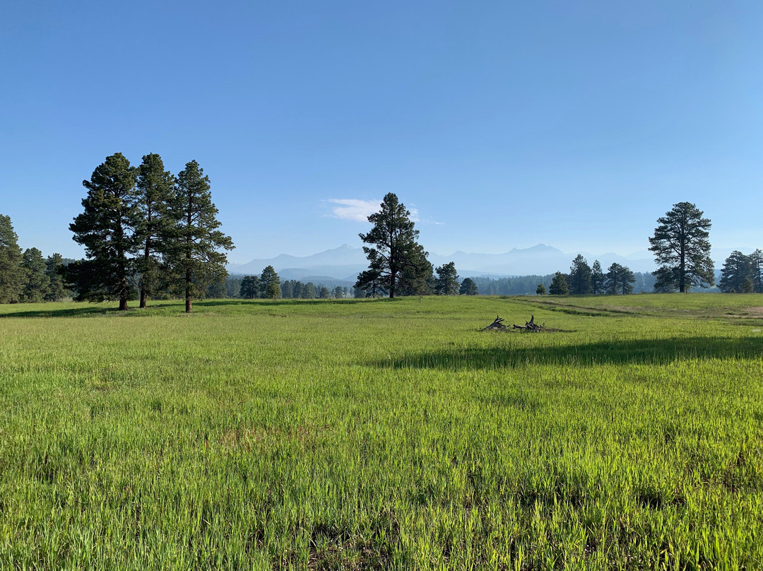 Elk Trace Bed & Breakfast主图