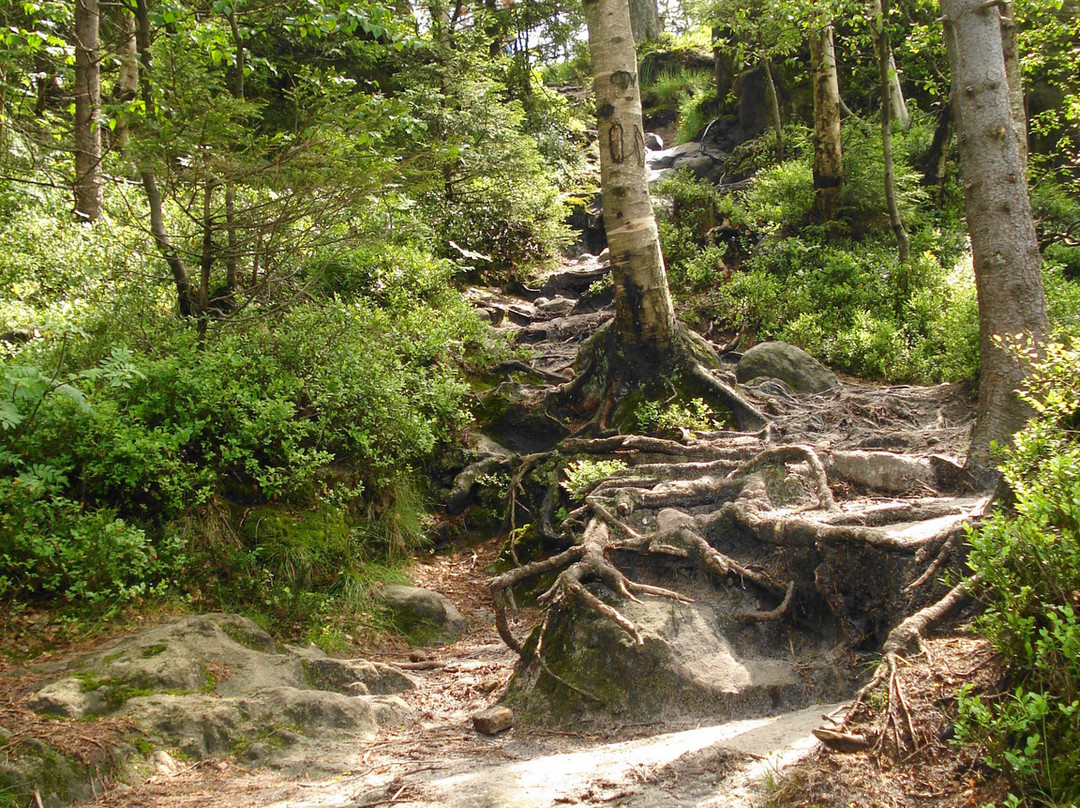 Stolowe Mountain National Park景点图片
