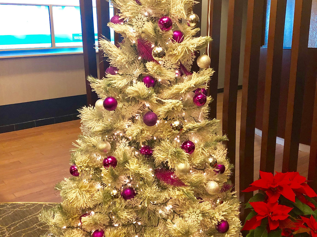 SpringHill Suites by Marriott Birmingham Colonnade/Grandview主图