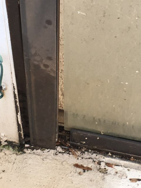 SureStay By Best Western Helen Downtown主图