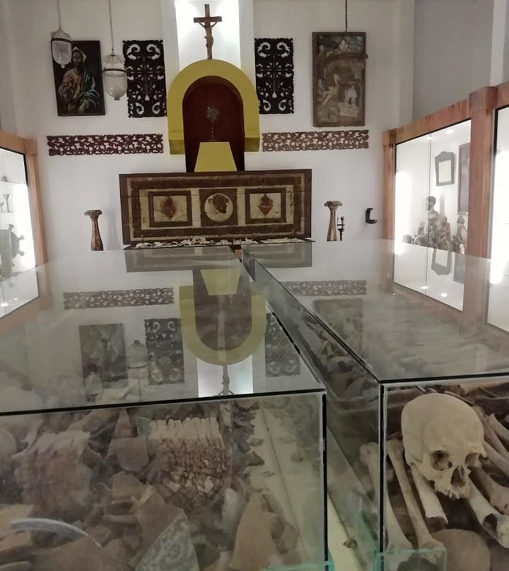 Samar Archaeological Museum景点图片