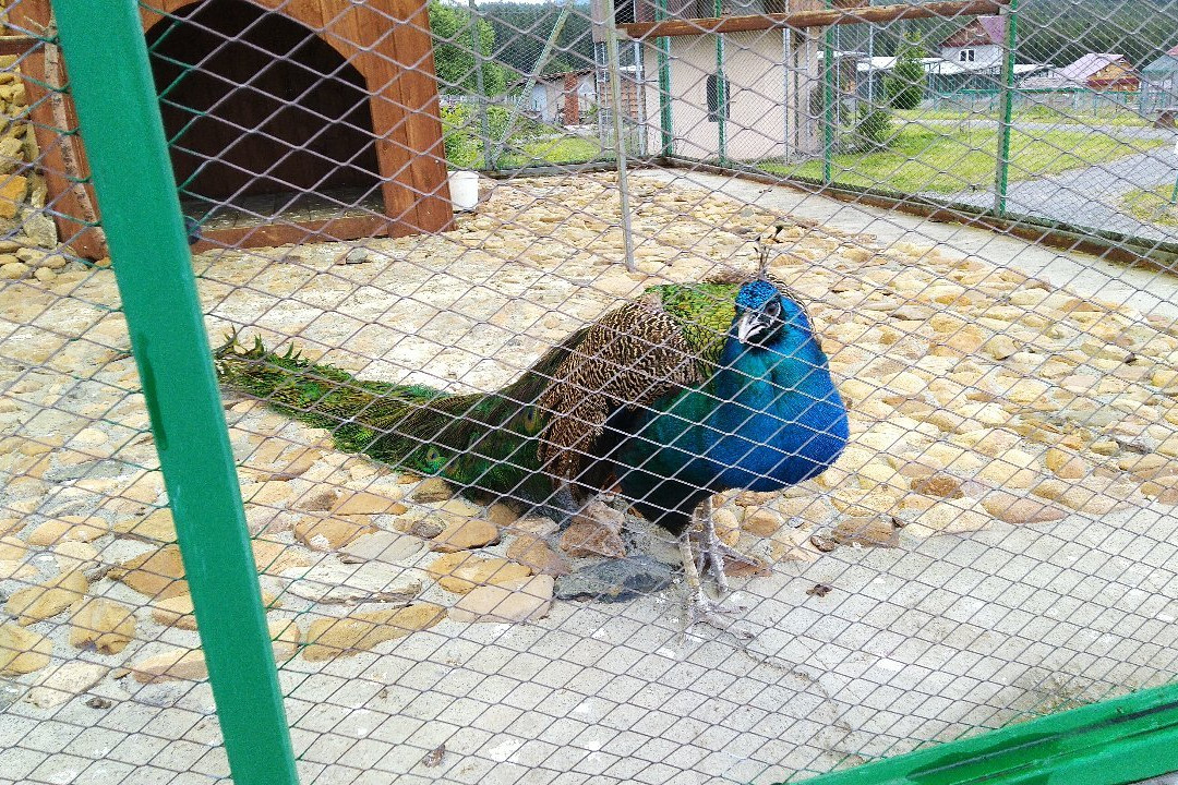 Bird Park Taganai景点图片