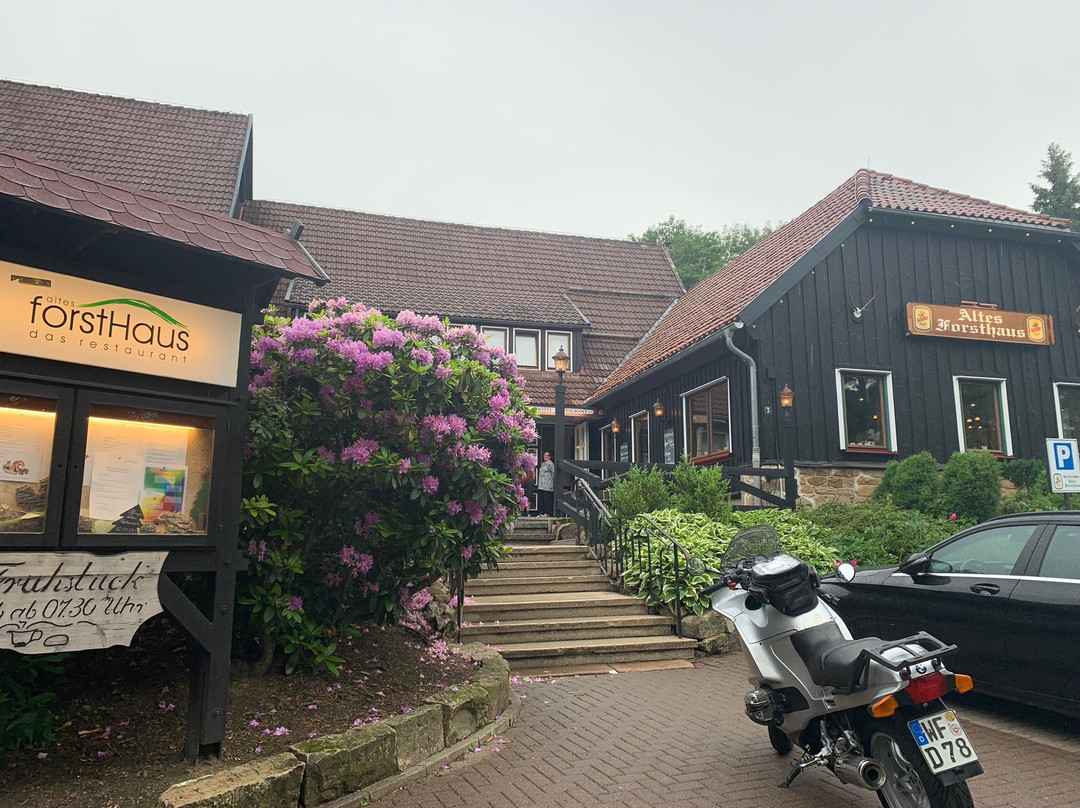 Altes Forsthaus Braunlage主图