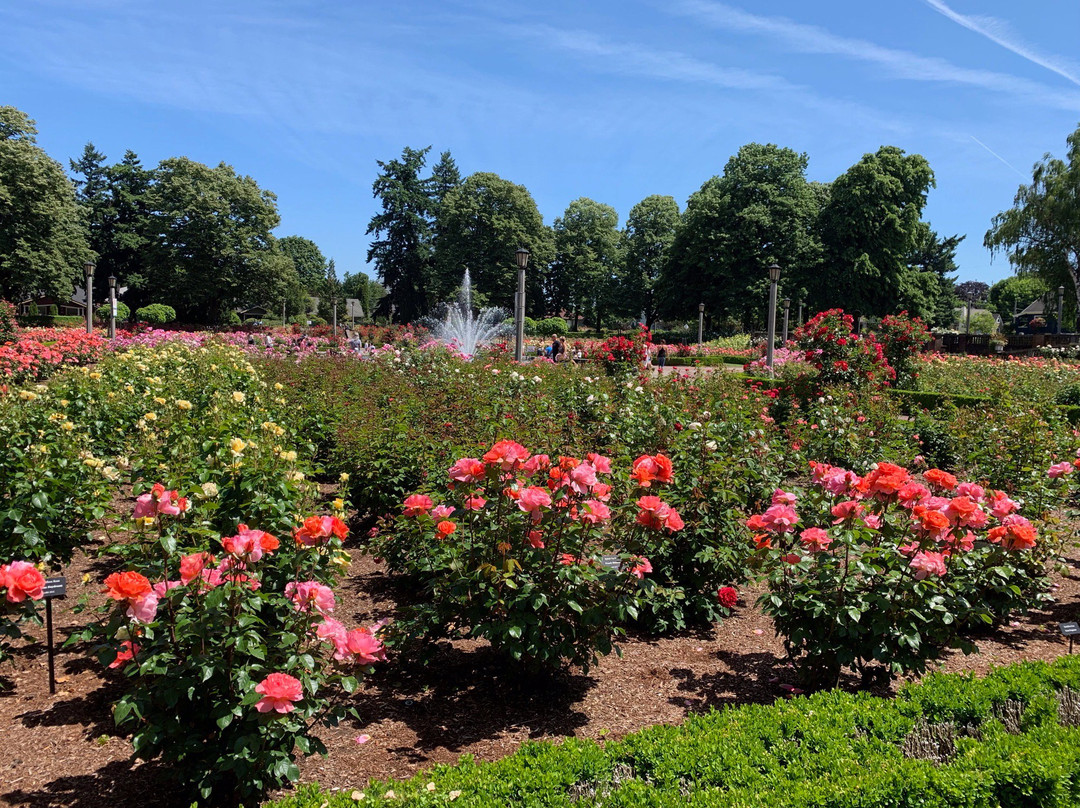 Peninsula Park and Rose Gardens景点图片