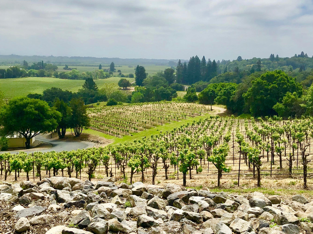 Diamond Express Limo-Brentwood必去景点