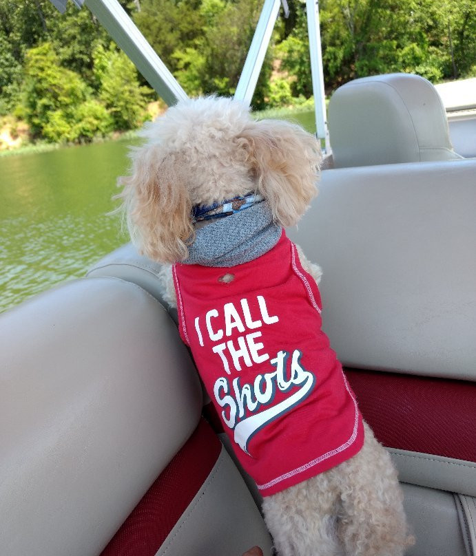 Kenlake State Resort Park - Lodging主图