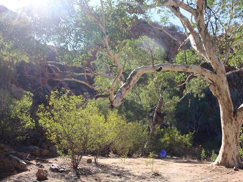 The Emily and Jessie Gaps Nature Park-爱丽斯泉必去景点