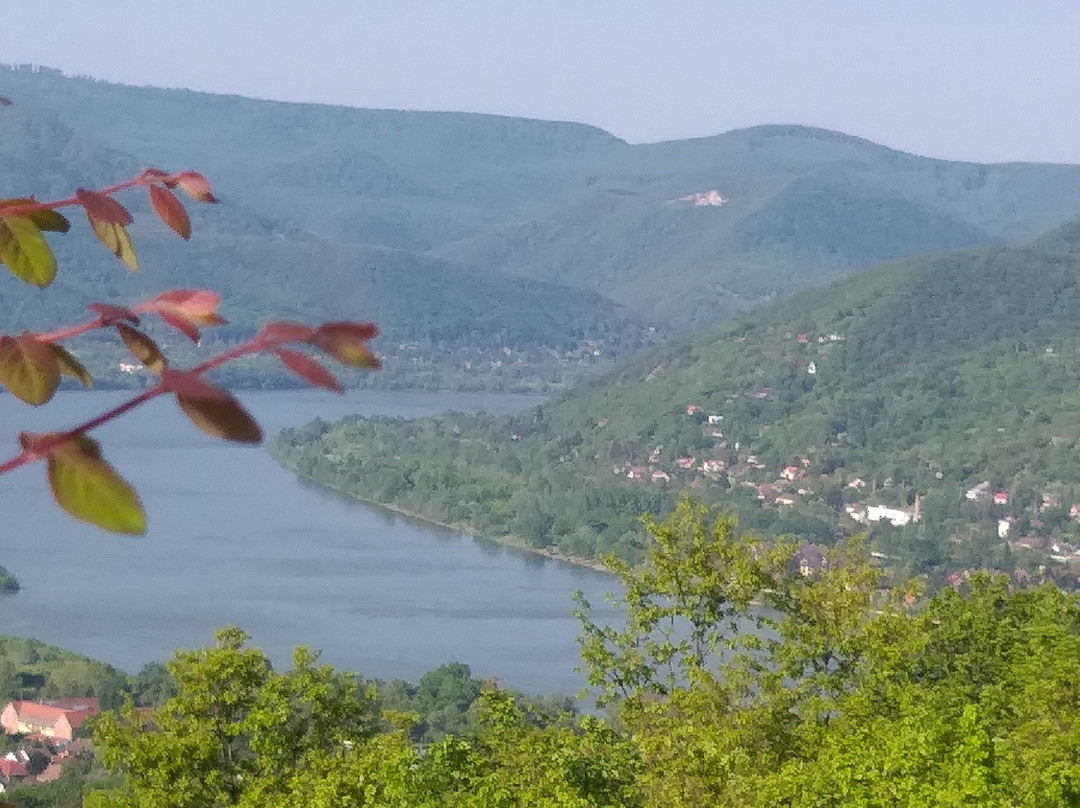 Silvanus Hotel Visegrad主图