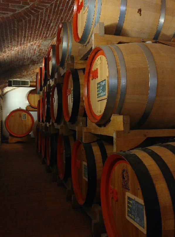 Distilleria Gualco景点图片