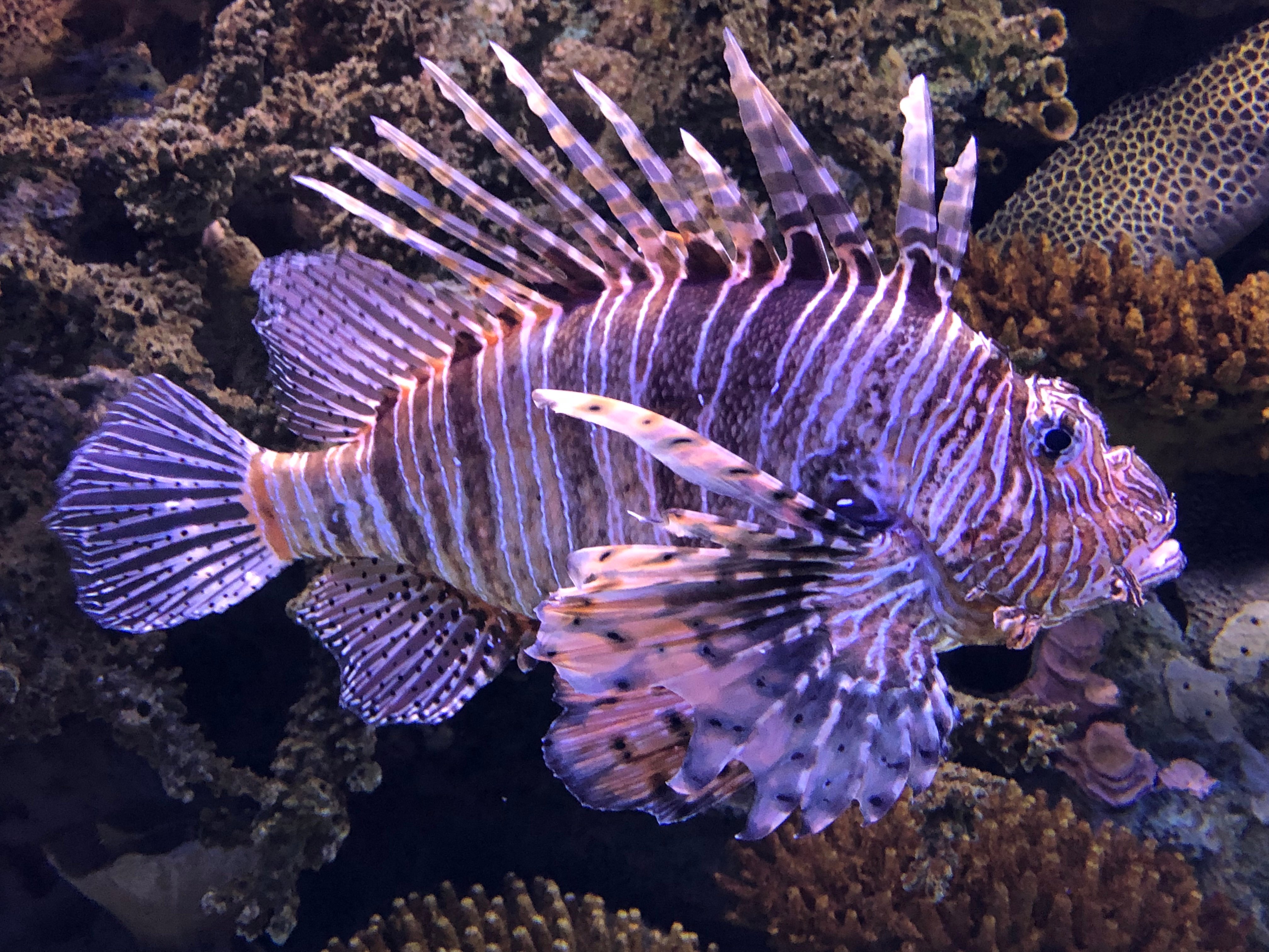 Somewhere Estoril Guesthouse-官方