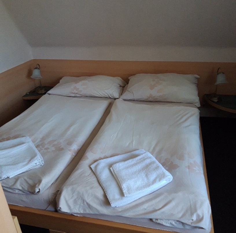 Parkhotel Skalní město主图