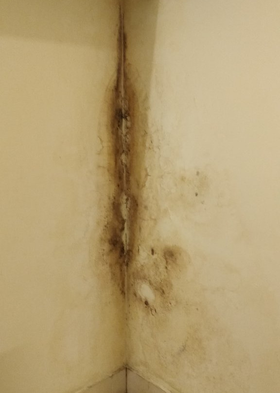 Treebo Trend Pratham Residency主图