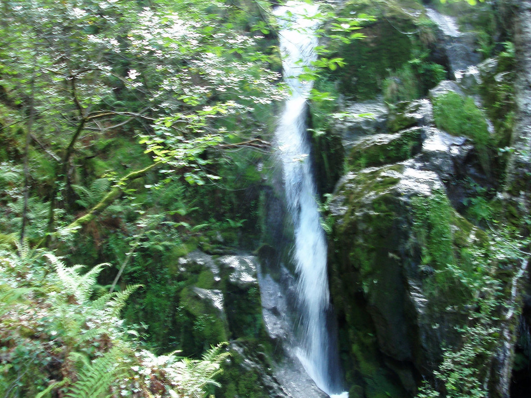 Parque Natural Fragas do Eume景点图片
