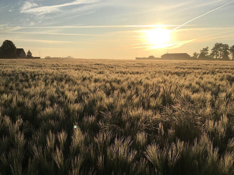 Le Plessis-Hebert旅游攻略图片