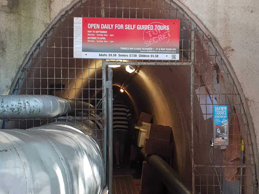 Tour Tub-达尔文市必去景点