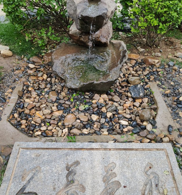 大连植物园-大连市必去景点