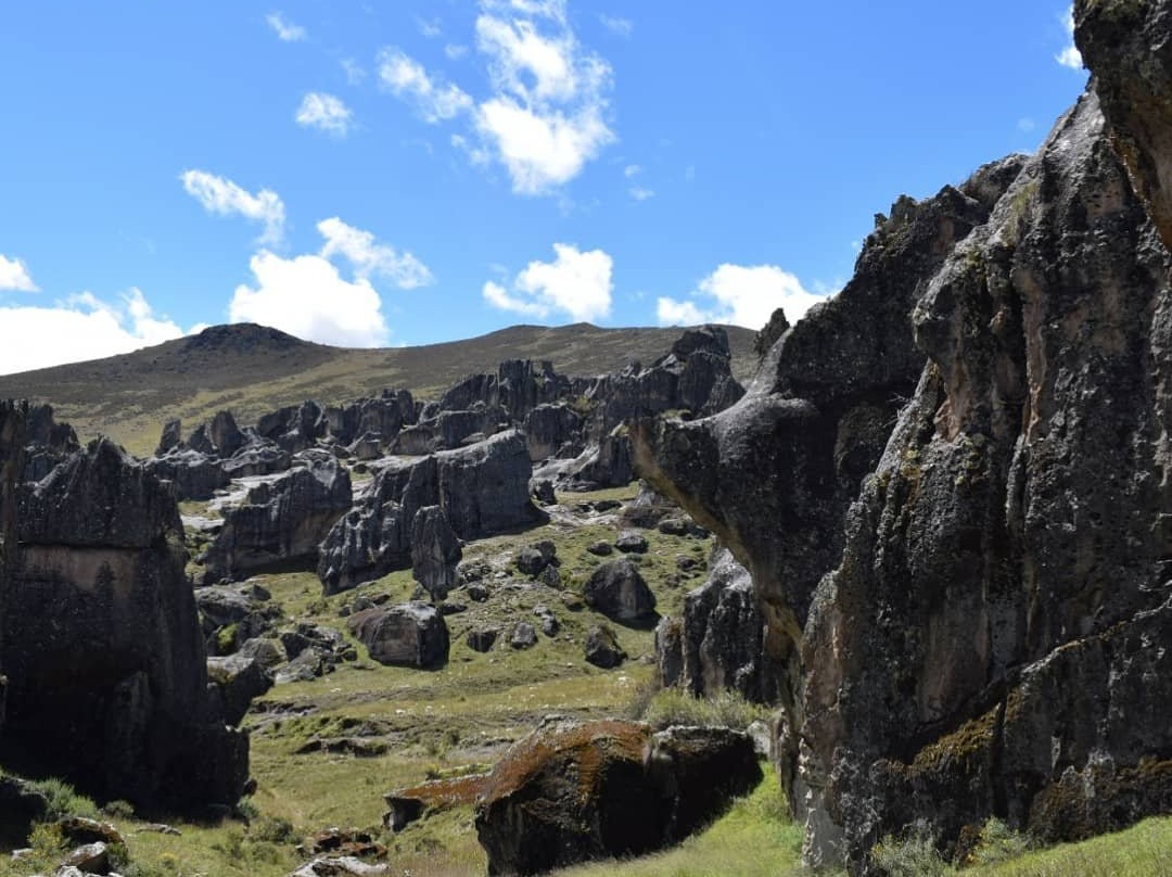 Hatun Machay Rock Forest景点图片