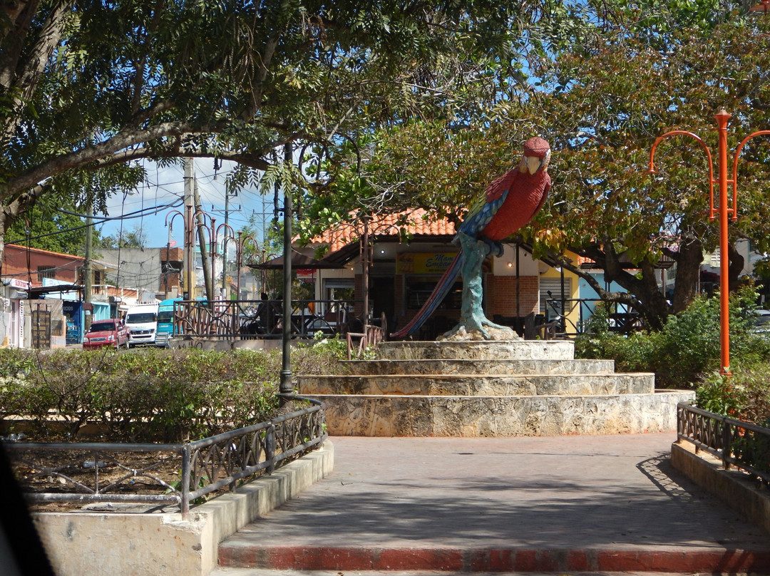 Playa Caleta La Romana-拉罗马纳必去景点