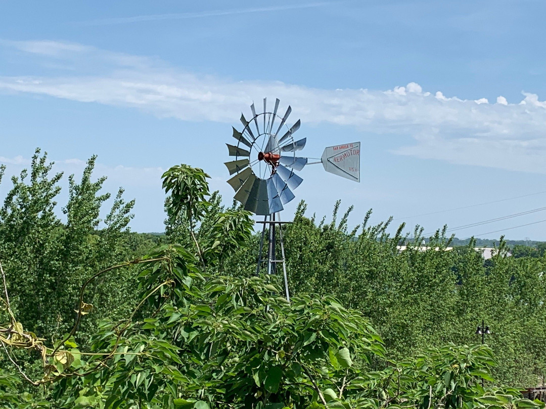 Wright Brothers Park-蒙哥马利必去景点