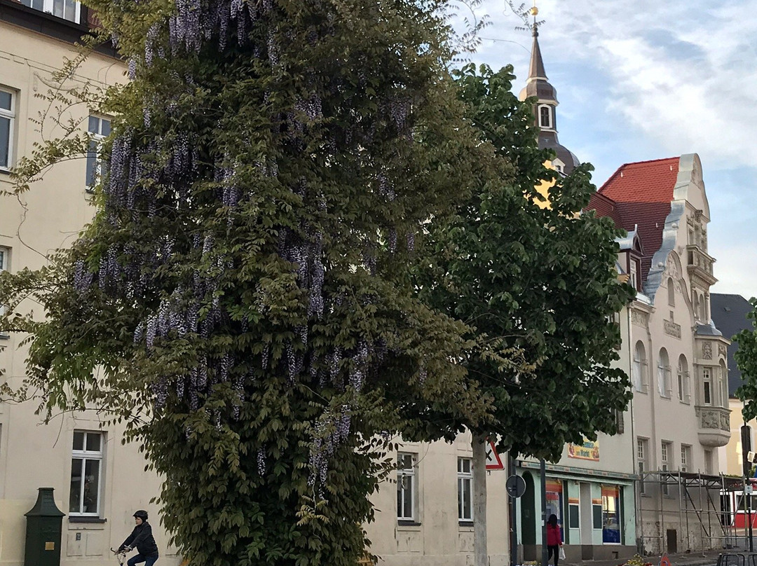 Taucha b Leipzig餐馆和美食-China-Restaurant Dynastie