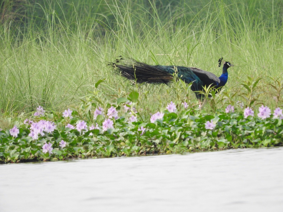 Ever Wild Trek & Tours-奇旺国家公国必去景点
