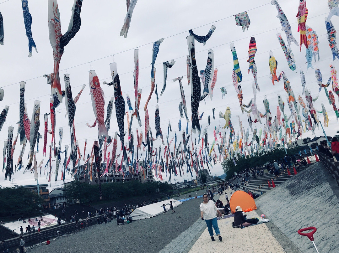 Akutagawasakurazutsumi Park-高规市必去景点