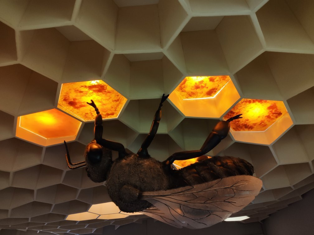 Bee Museum