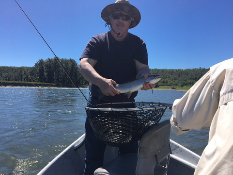 Bow River Hookers-卡尔加里必去景点