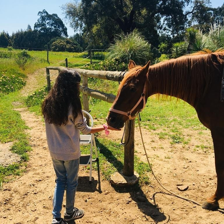 NaturaHorses景点图片