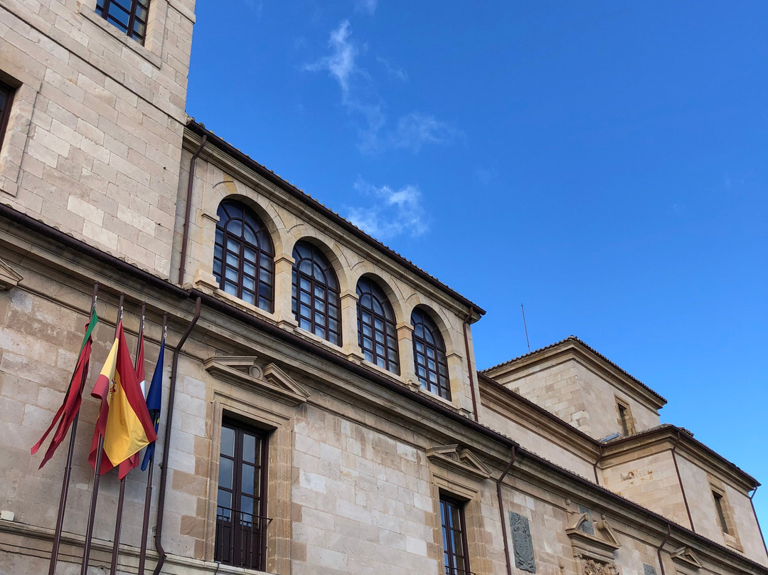 Edificio de Diputación de Zamora景点图片