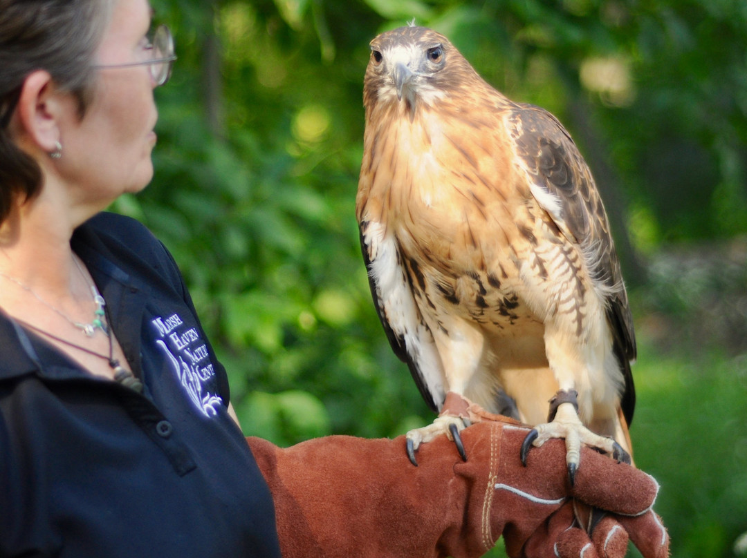 Marsh Haven Nature Center-Waupun必去景点