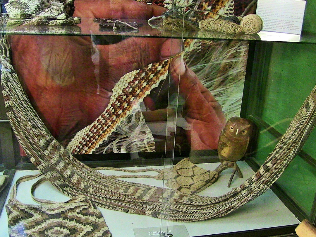 Museo del Hombre Chaqueno Ertivio Acosta-雷西斯滕西亚必去景点