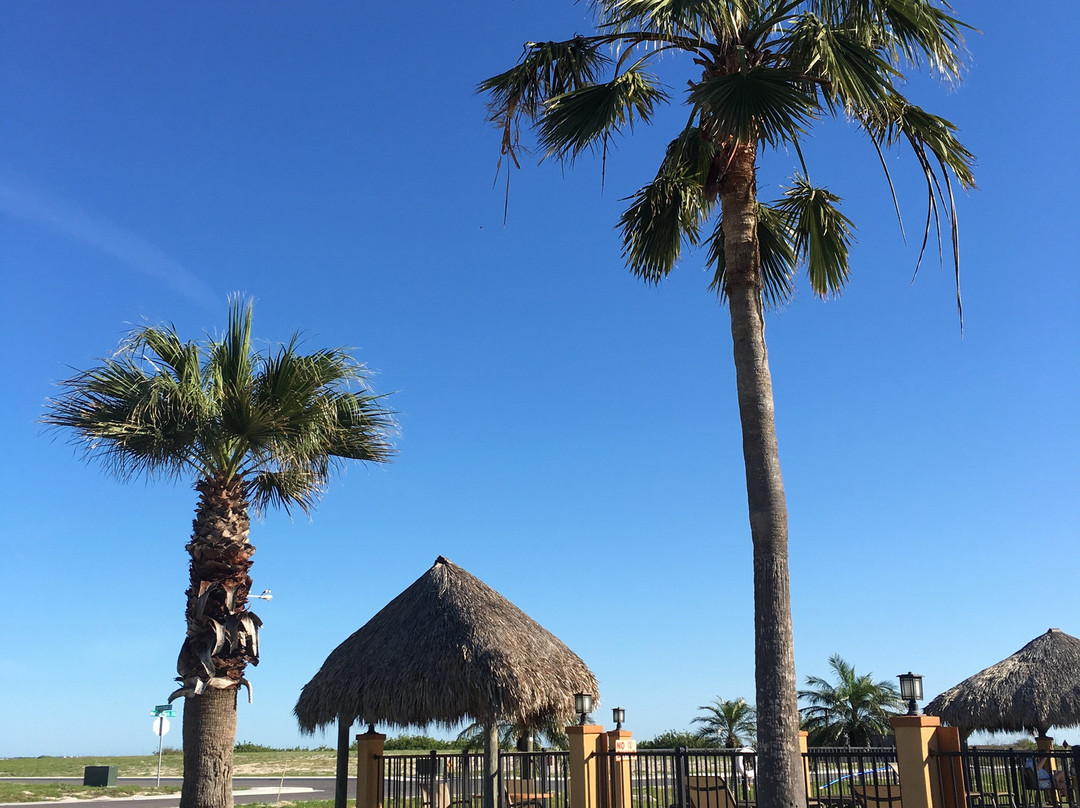Best Western Padre Island主图