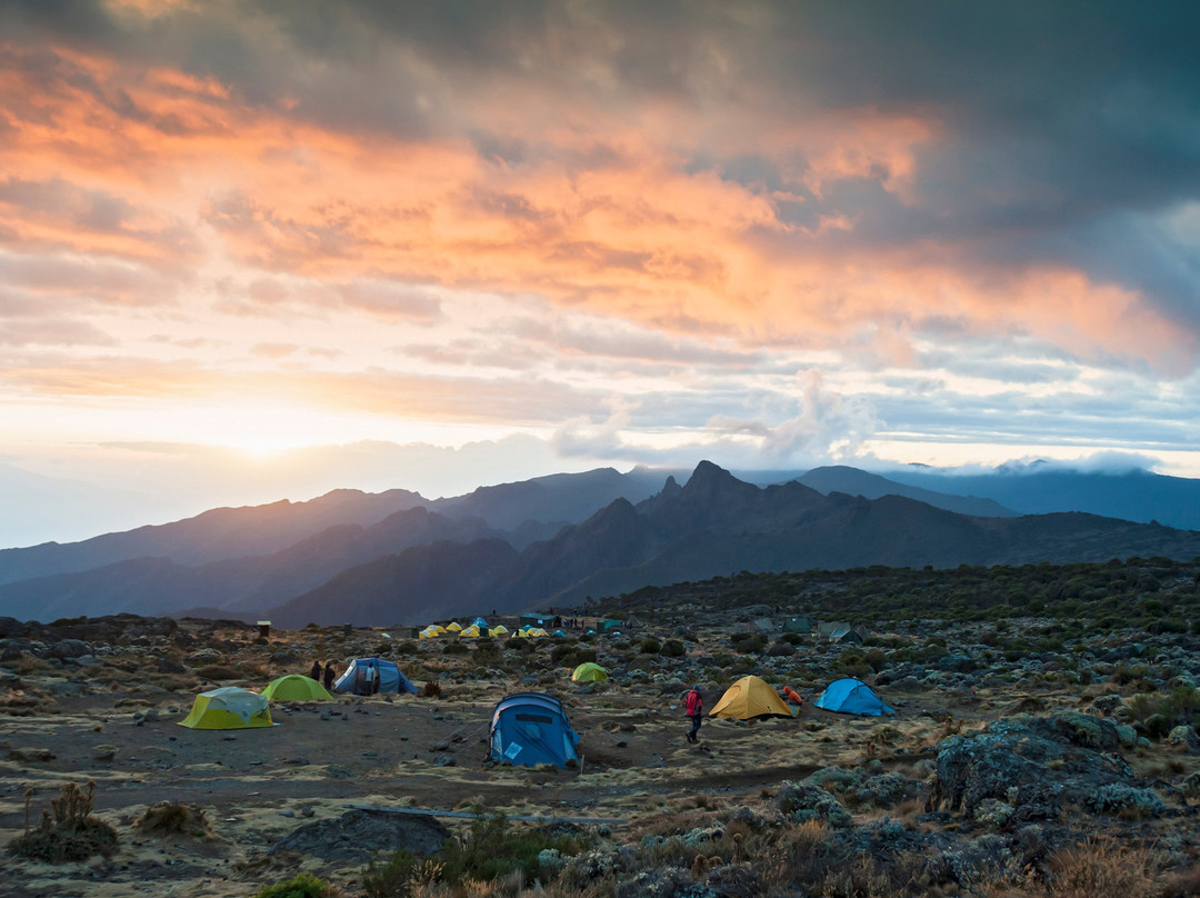 Jambo Kilimanjaro Voyage-莫西必去景点
