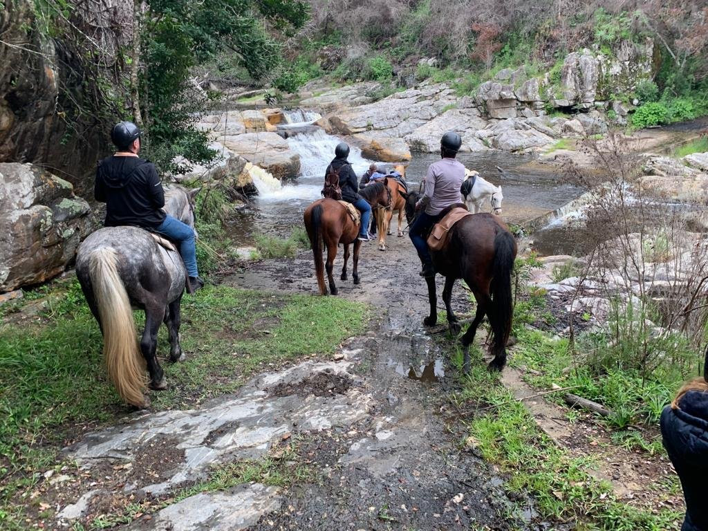 Black Horse Trails-荒野必去景点