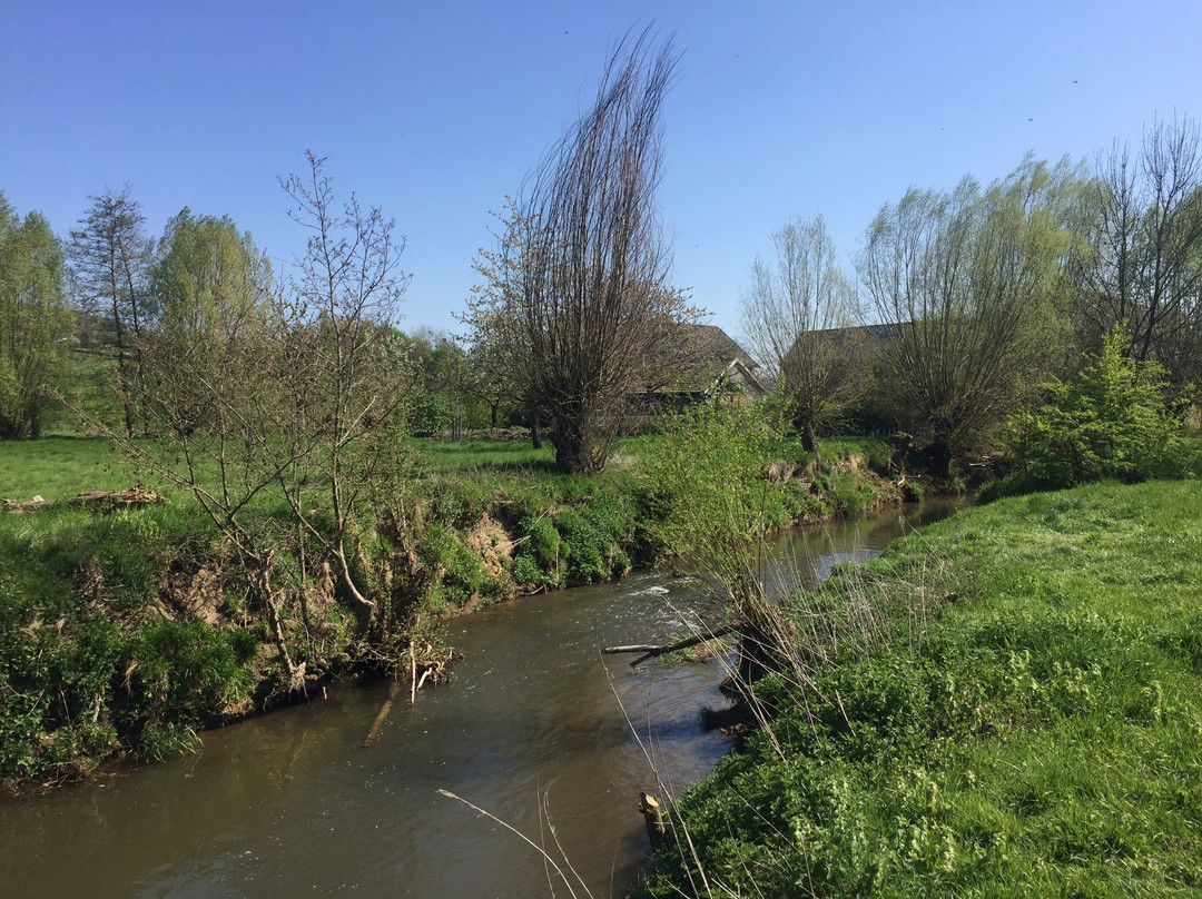 Volmolen te Epen景点图片