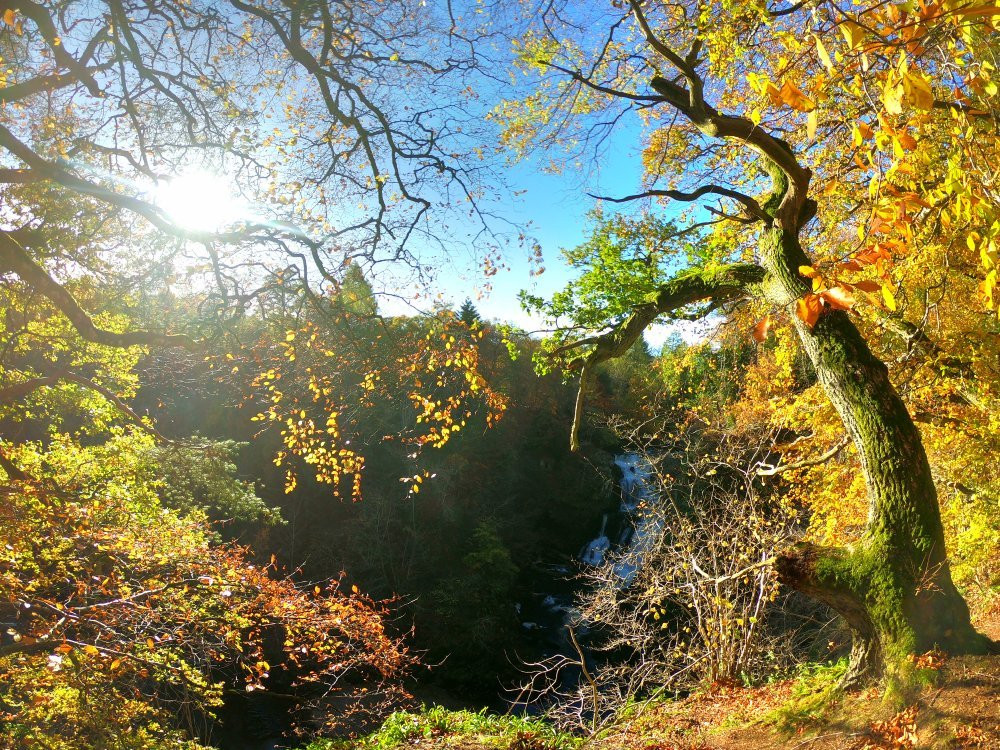 Reekie Linn景点图片