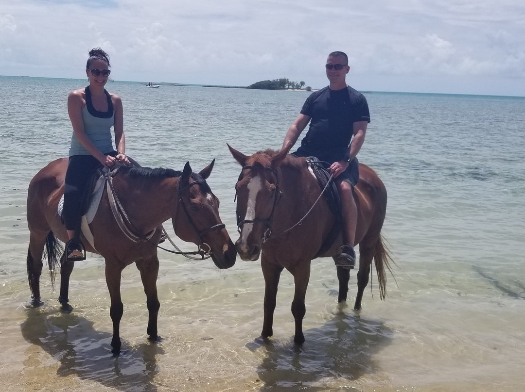 Happy Trails Stables-Coral Harbour必去景点