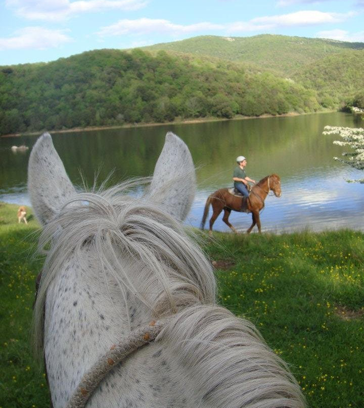 Centro Equestre Taloro-Fonni必去景点