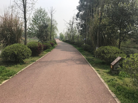 白鹭湾生态湿地公园-成都必去景点