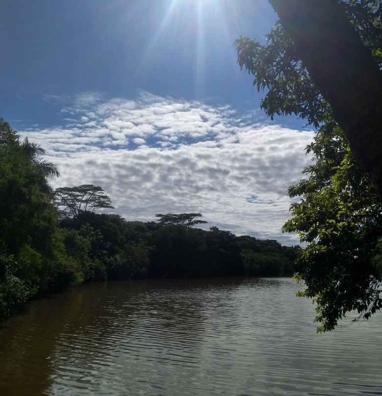 Parque Ecologico Prof. Hermogenes de Freitas景点图片