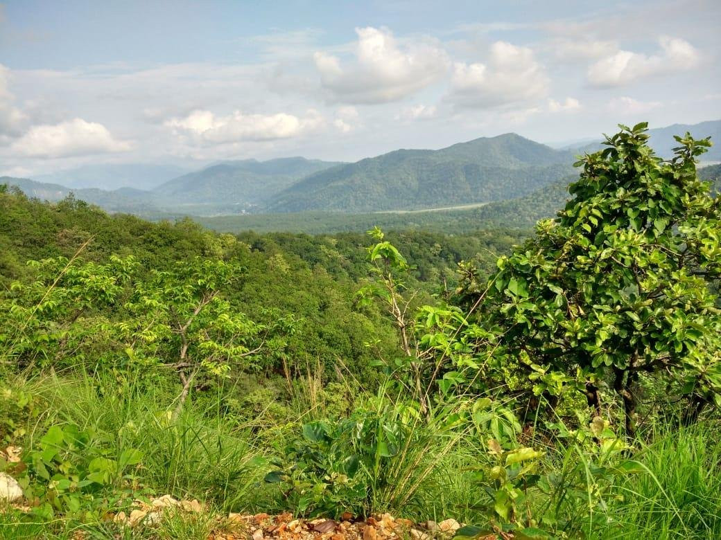 Jim Jungle Explore Safari-Dhikuli必去景点