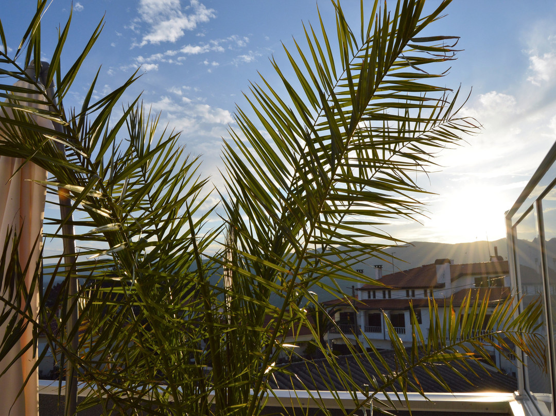 Altitude House主图