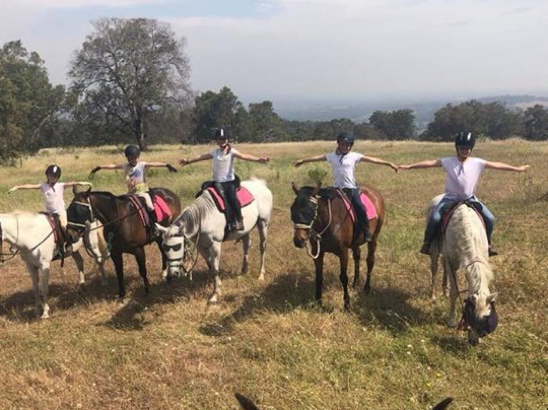 Jarrahdale Equestrian Centre景点图片