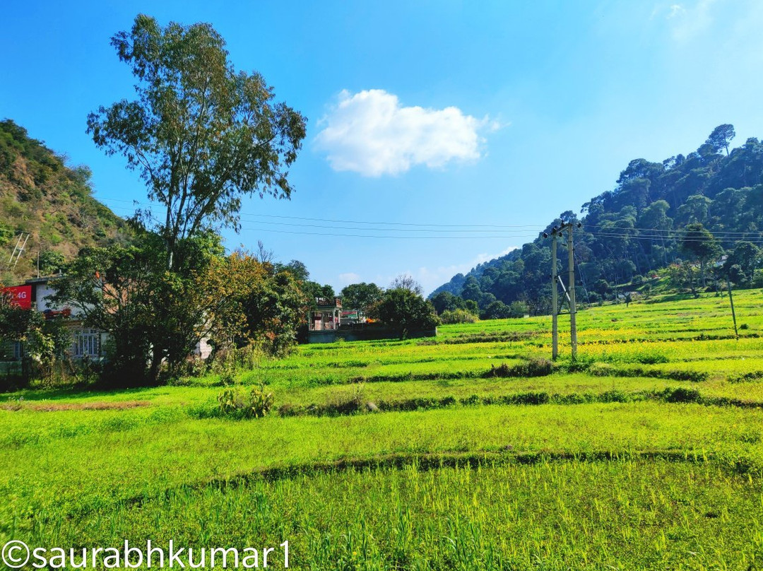 Mansar Lake景点图片