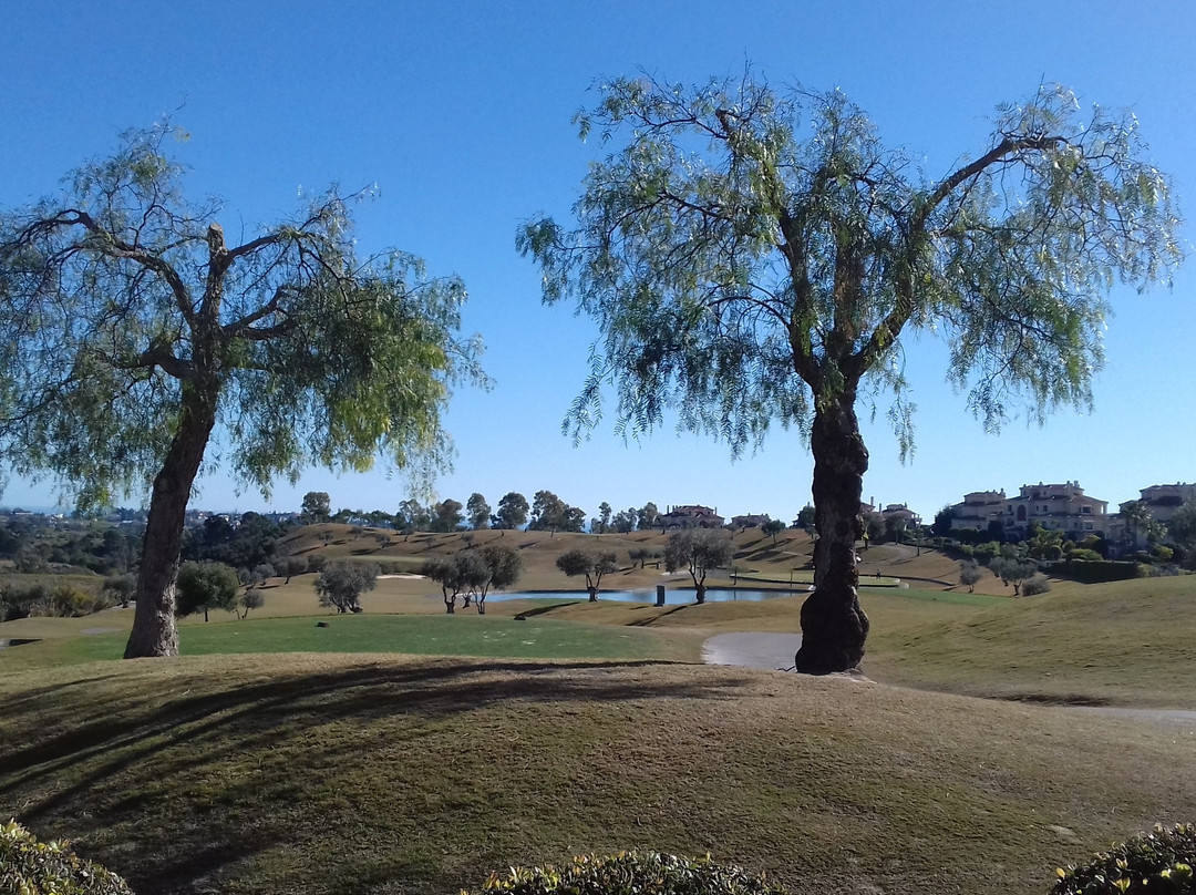 El Higueral Golf景点图片