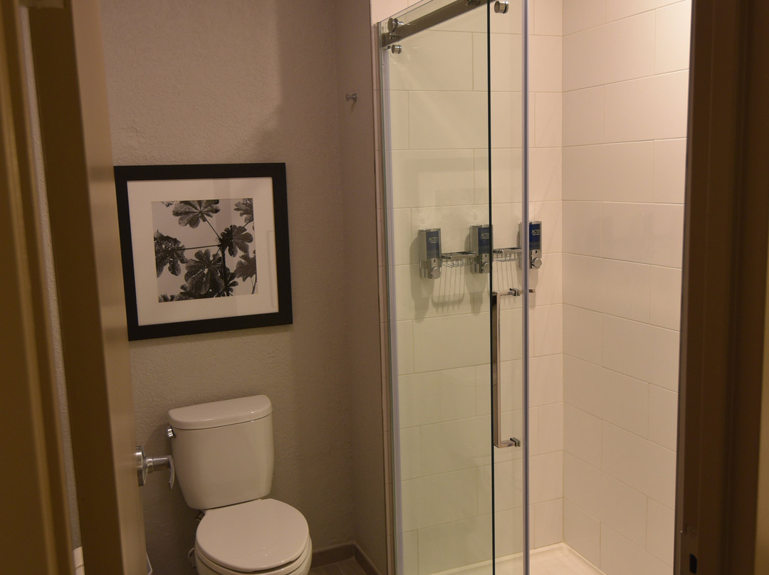 Four Points by Sheraton Caguas Real Hotel & Casino主图